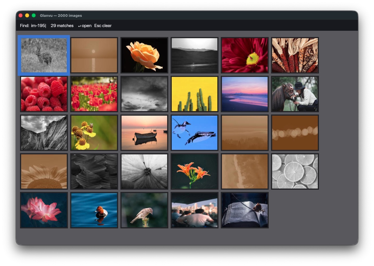 Glanvu find-by-name filter in the grid