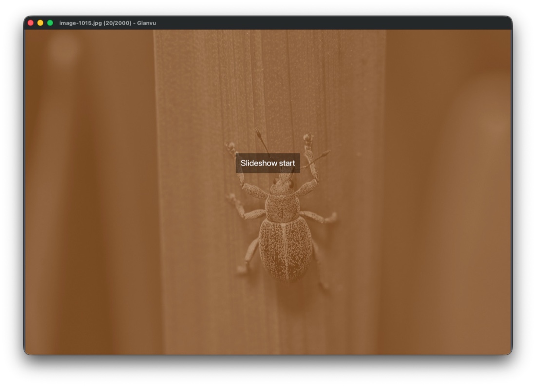 Glanvu slideshow mode